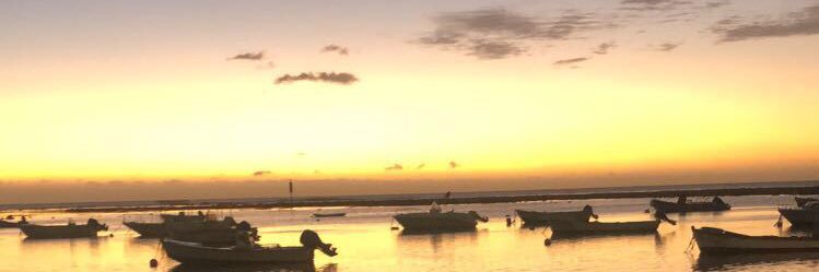 Kevin Pothino banner