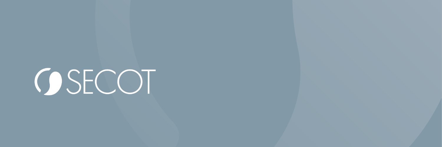 SECOT (voluntariado de asesoramiento empresarial) banner