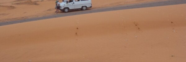 Stecarus Profile Banner