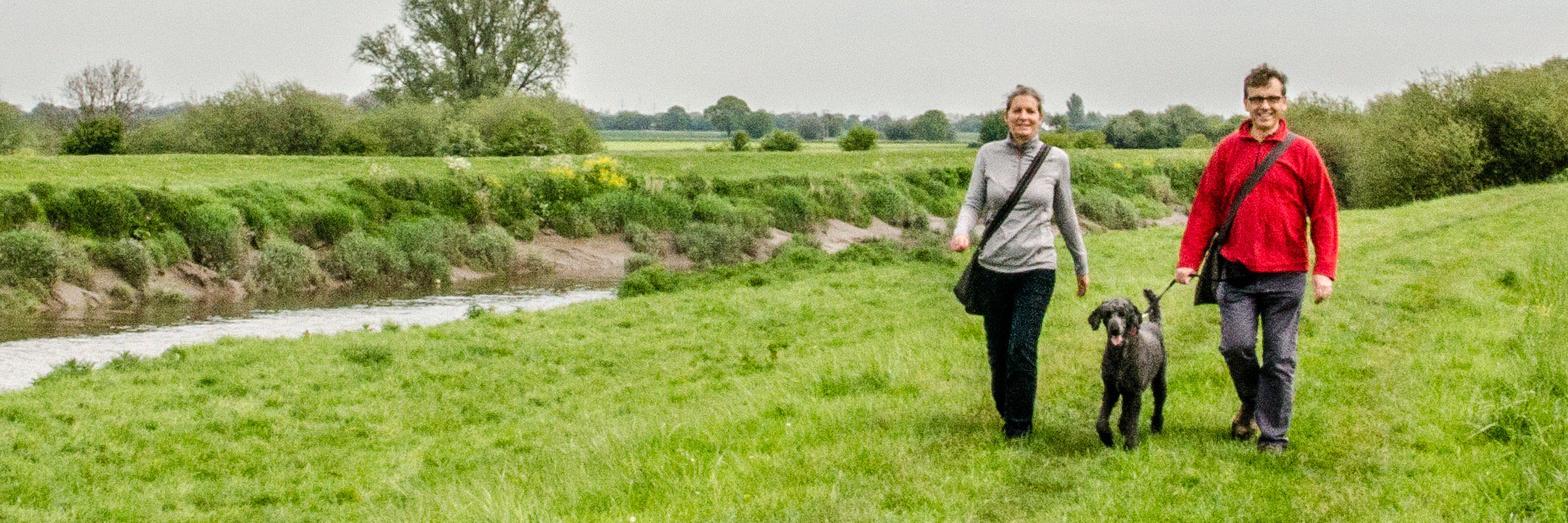 Dogwalksyorkshire banner