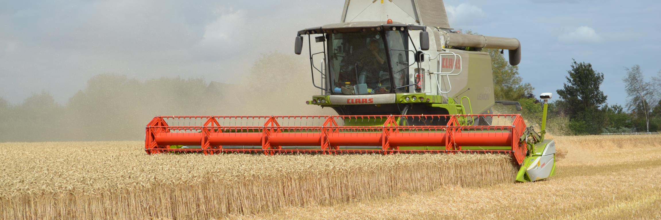 Fairking Limited banner