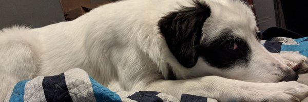 RNKit30 Profile Banner