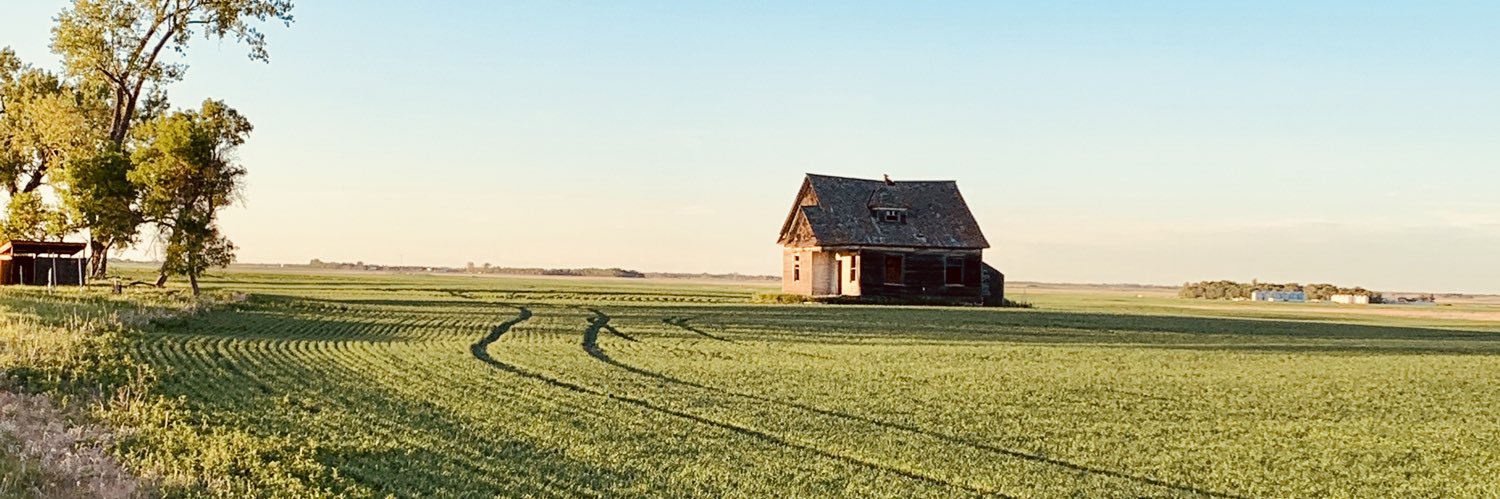 Mark A. Trout banner