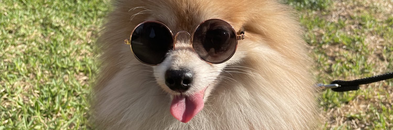 Mickey9612's profile banner image