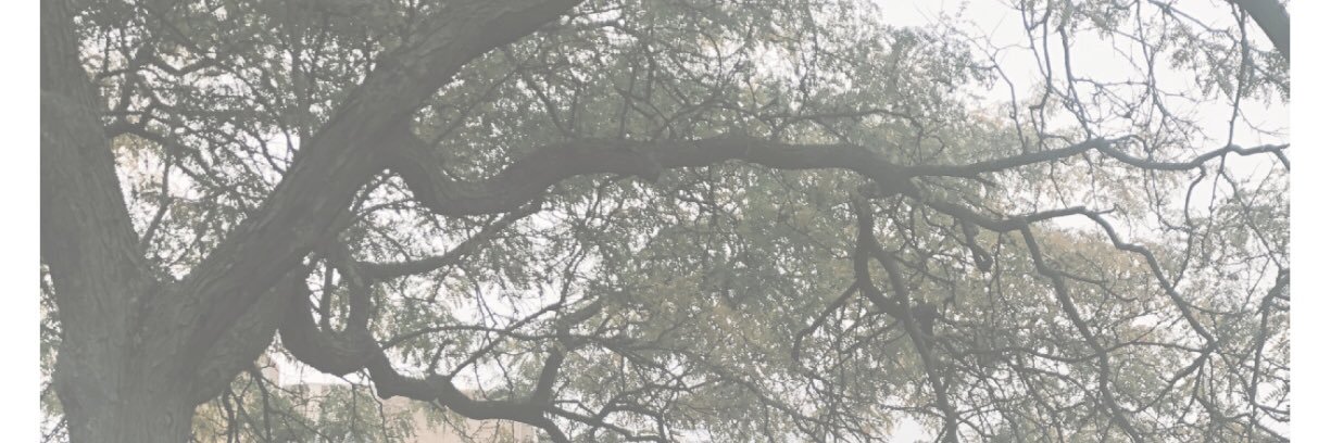 SidneyHoward_'s profile banner image