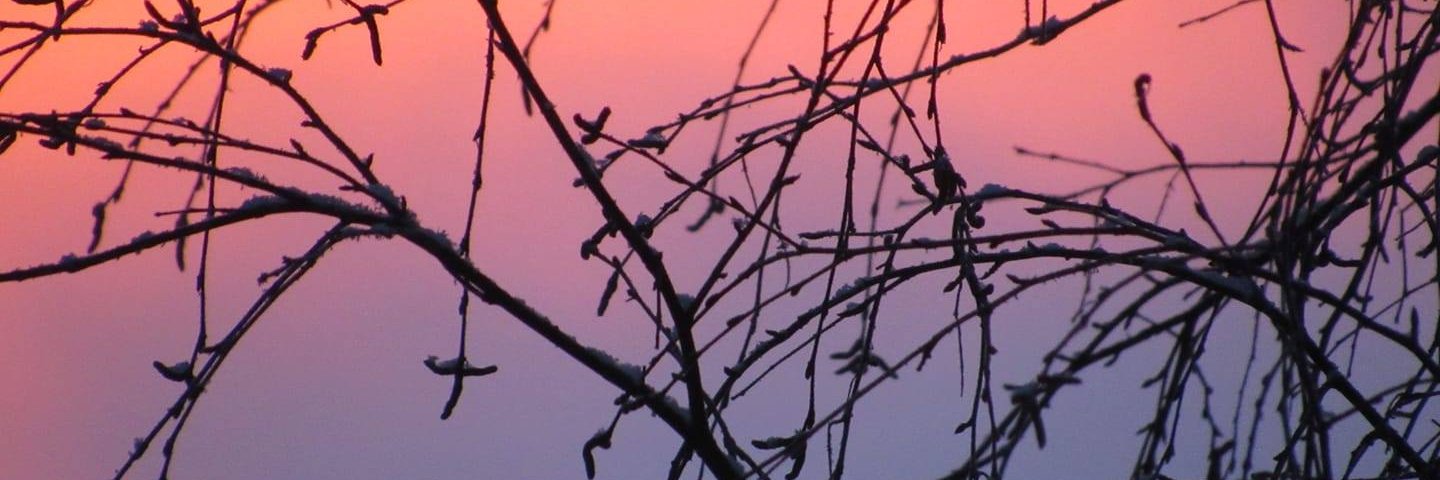SecilKcs's profile banner image