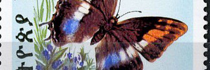 TamratEndale's profile banner image