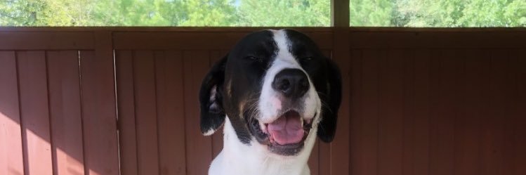 Clare 🎀 🍉 banner