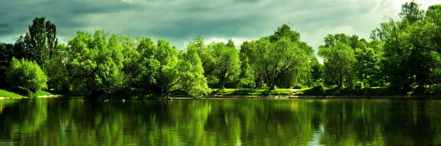 Prof Satya Sarker (Phytochemist & Writer) 🇬🇧 banner