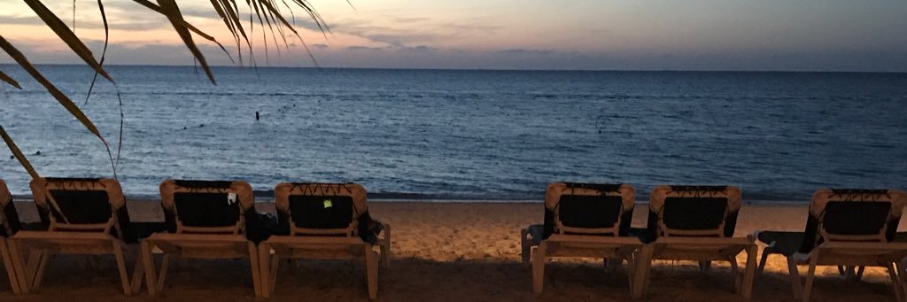 MJShap's profile banner image