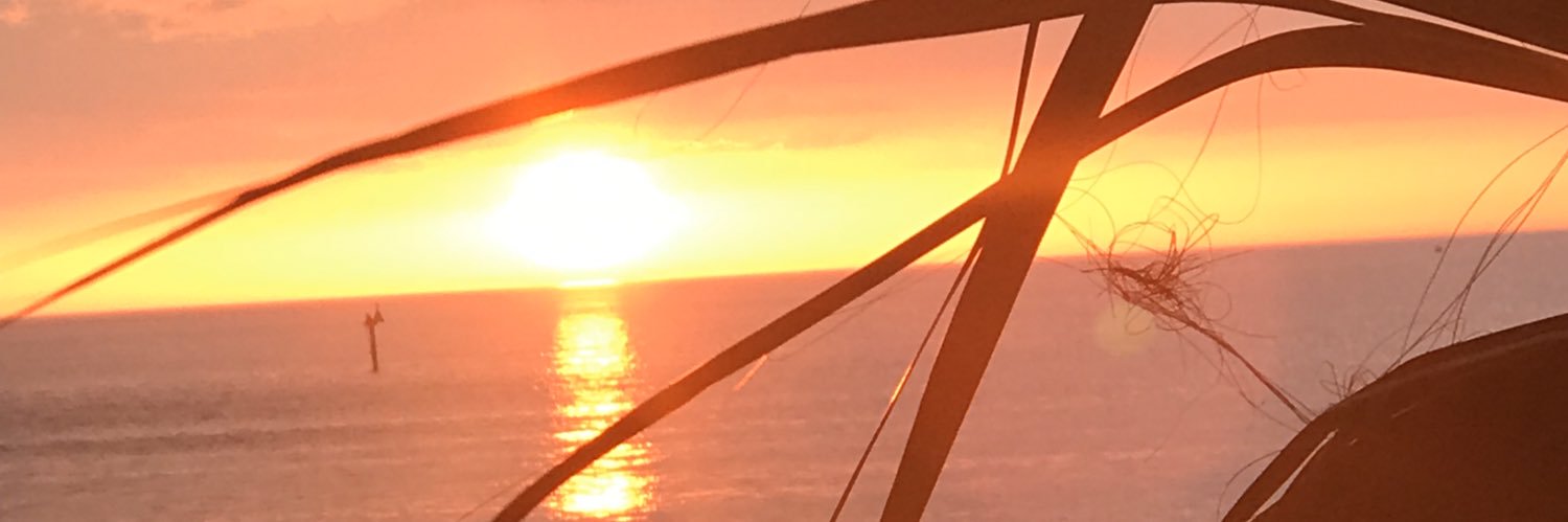 micaelammurphy's profile banner image
