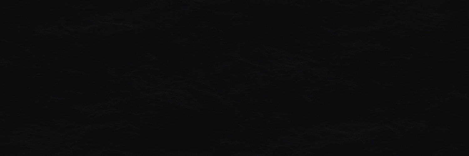 Lan Belic banner
