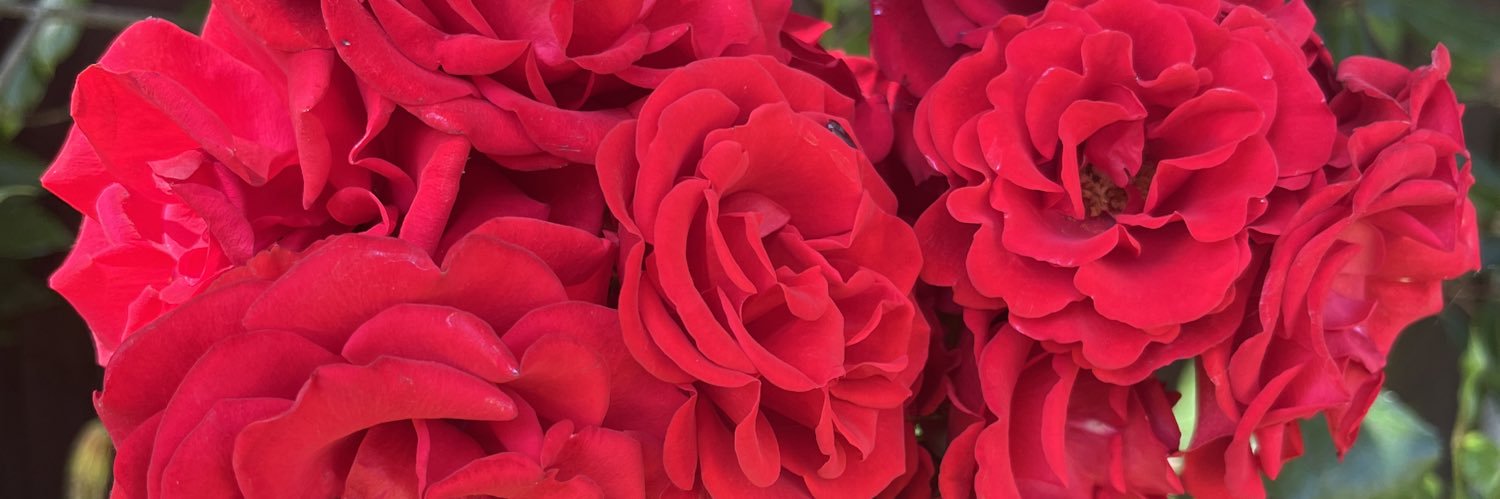 GingerSaisQuoi's profile banner image