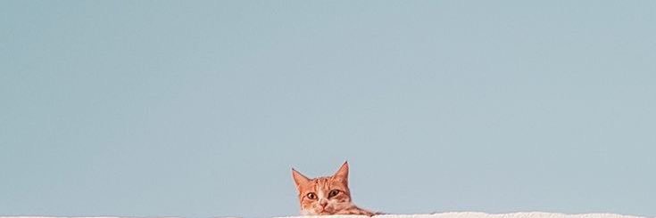 😃 banner