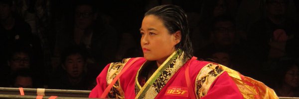 satomurameiko Profile Banner