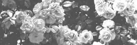 OnPenseA's profile banner image