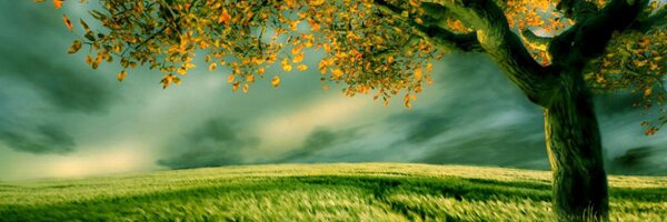 poorani90 Profile Banner