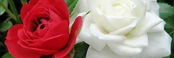 Rti786's profile banner image