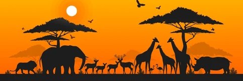 NatureAnimalsme's profile banner image