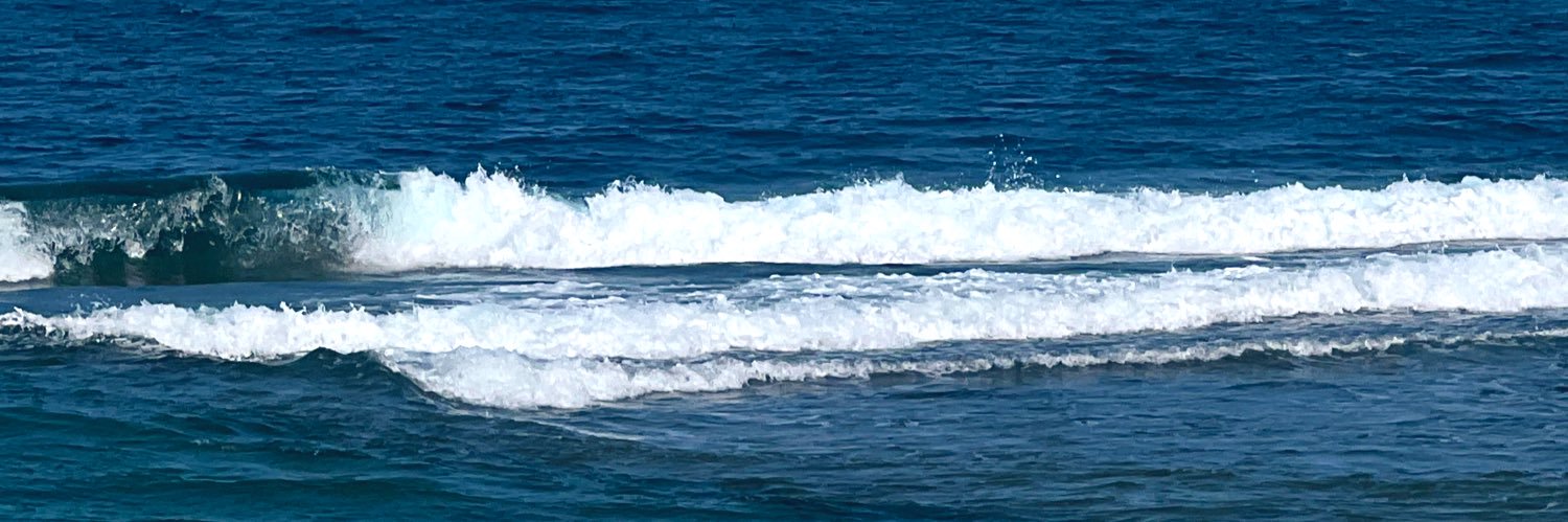 1IBushra's profile banner image