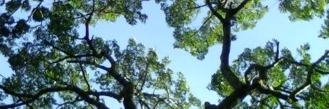 nohe_salazar's profile banner image