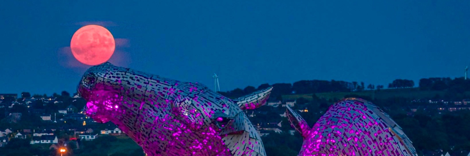 Moon Eagle 🦅 banner