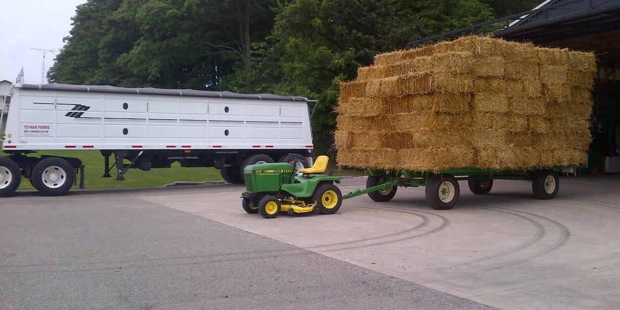 Tomar_Farms's profile banner image