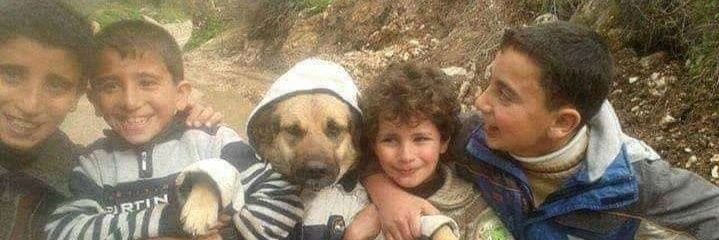 MohamEdSaad196's profile banner image