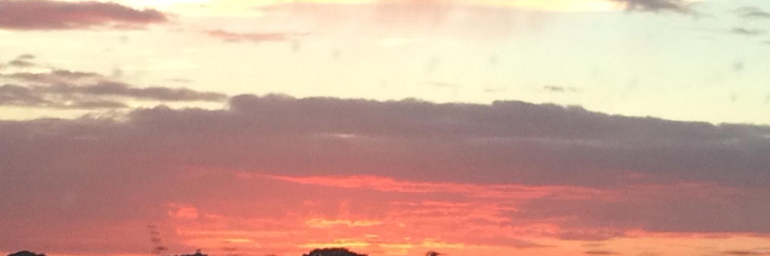 CommissarAdam2's profile banner image