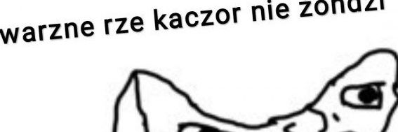 ProfWiktor's profile banner image