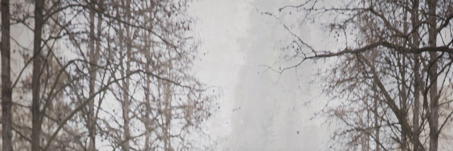 Audehapiot's profile banner image