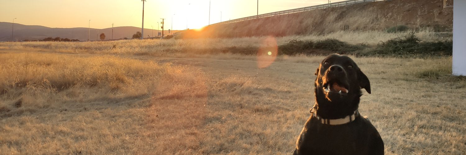 mogadix's profile banner image