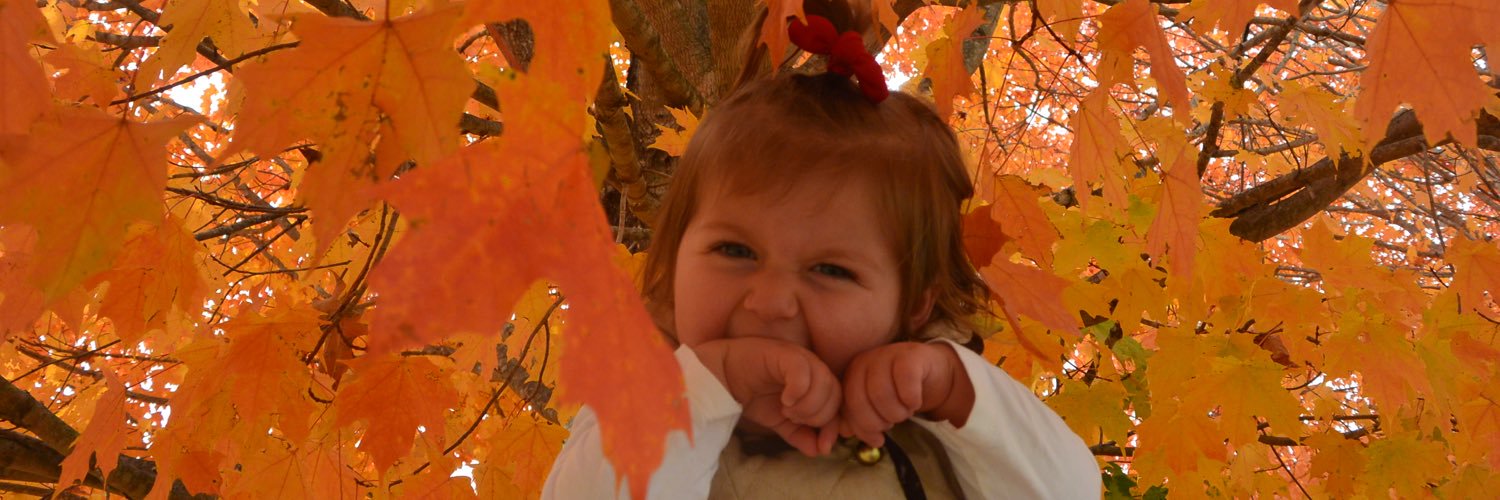 BetsyHauser's profile banner image