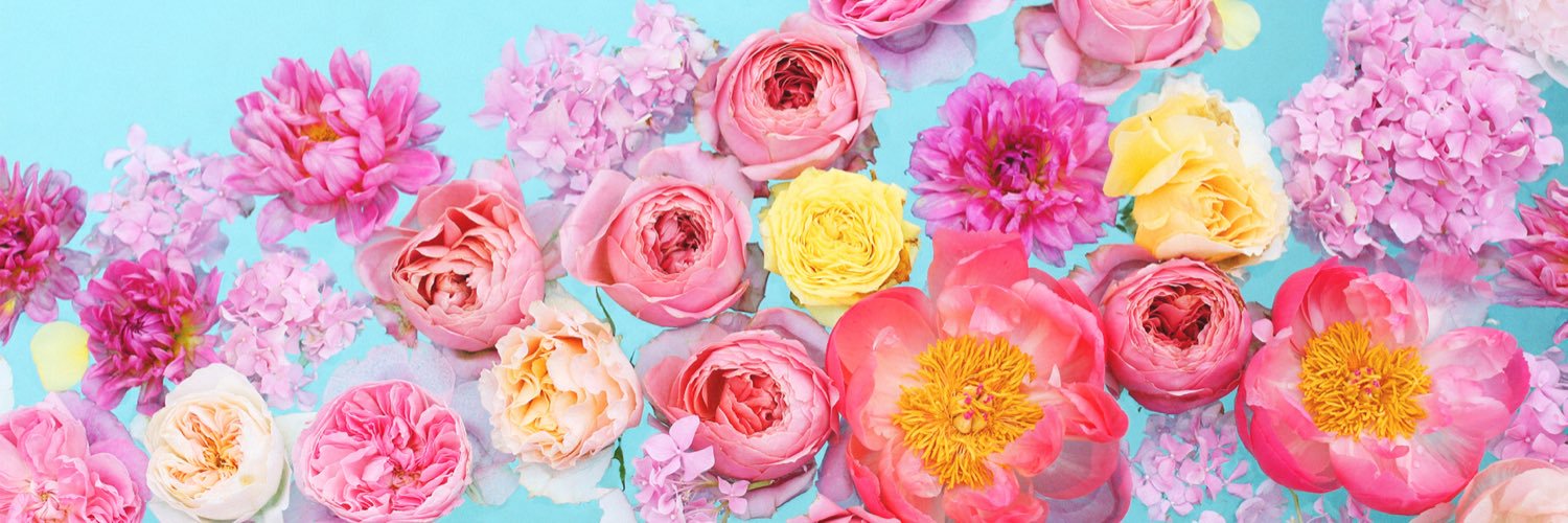 rainmarieblue's profile banner image