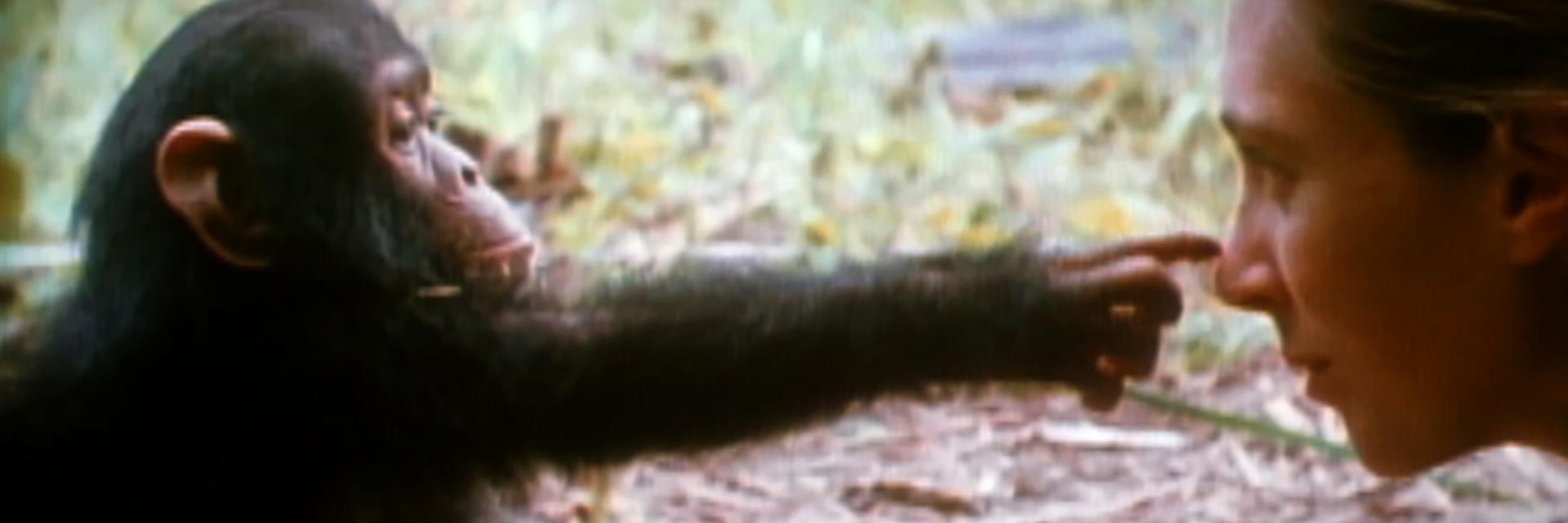 lourdespp96's profile banner image