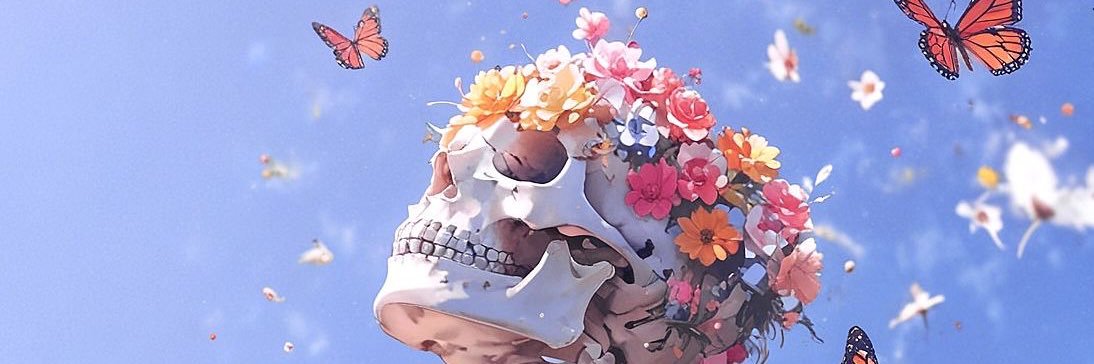 DaltonFunari's profile banner image