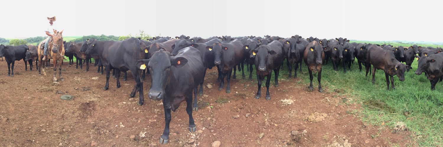 nanauhauer's profile banner image