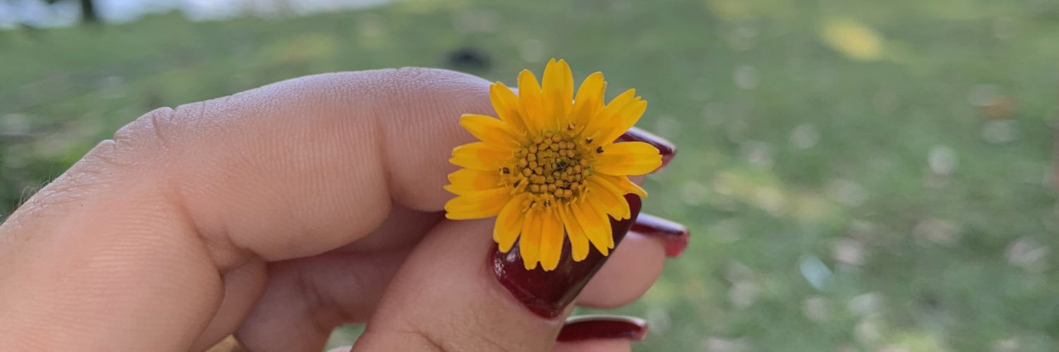 YasmineHelen's profile banner image