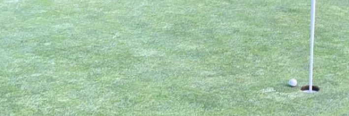 StanLisardo's profile banner image