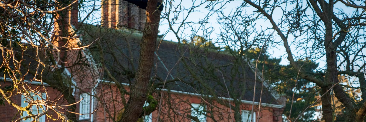 The Britten Pears Archive banner