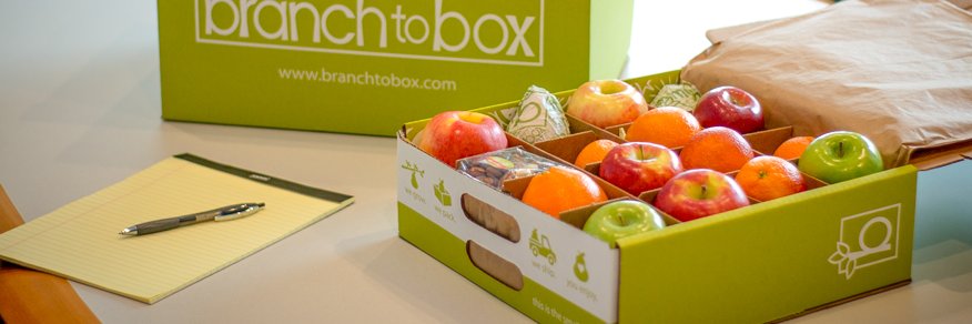 BranchToBox's profile banner image