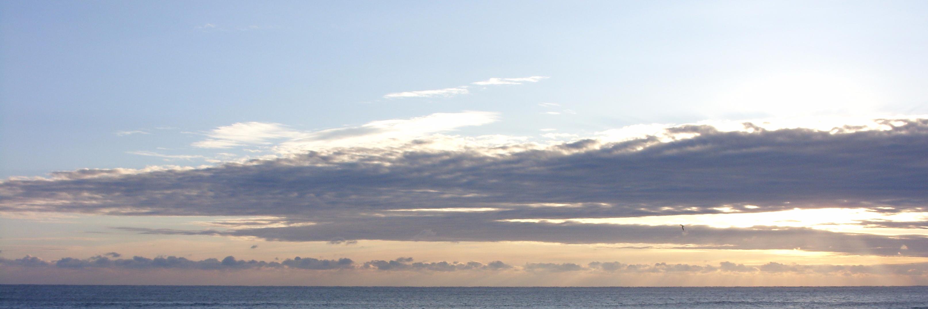 Maribeth Norman banner