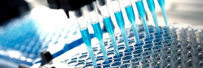 TheBiotechBible's profile banner image