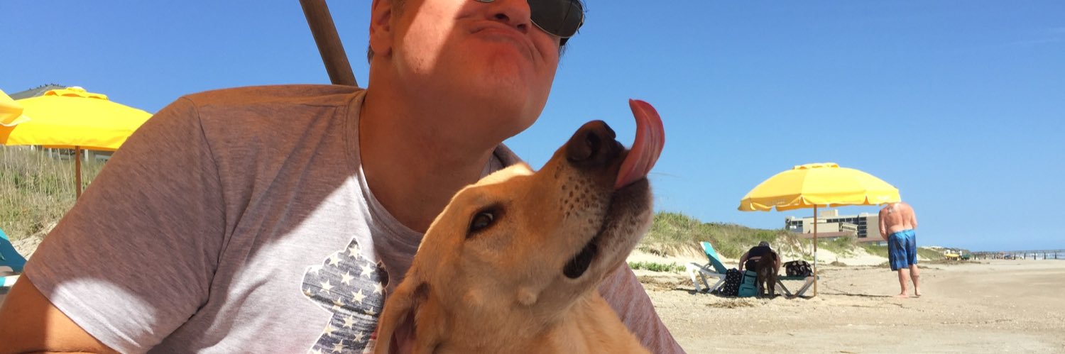 tripswithpets's profile banner image