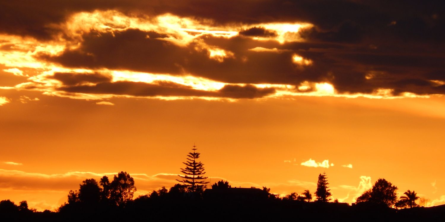 luios 16 🇺🇦 banner