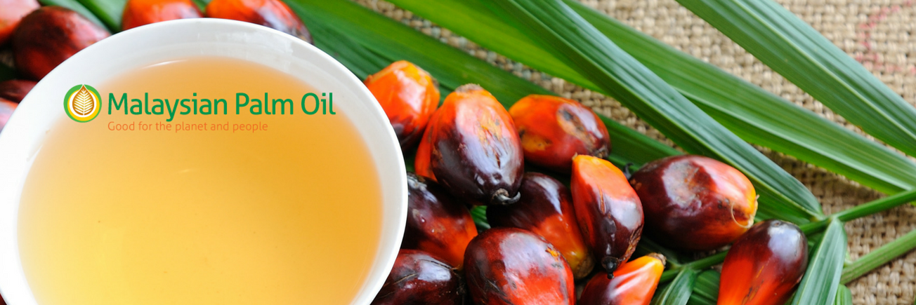 PalmOilHealth's profile banner image