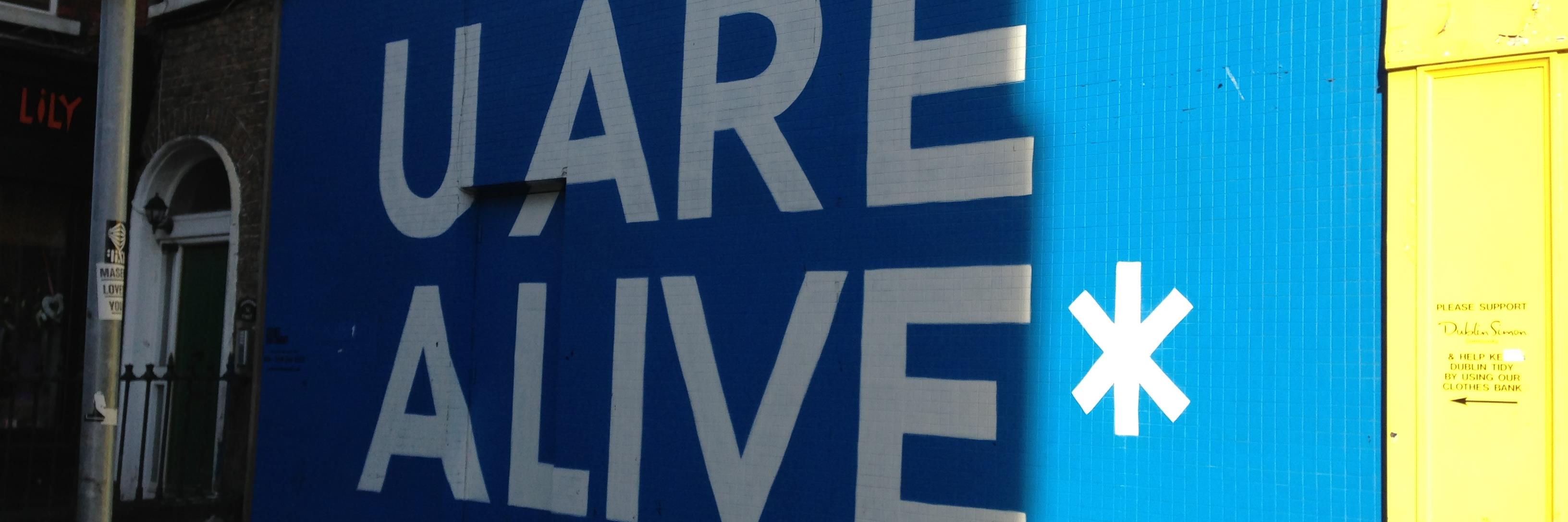 Judith Caffrey banner