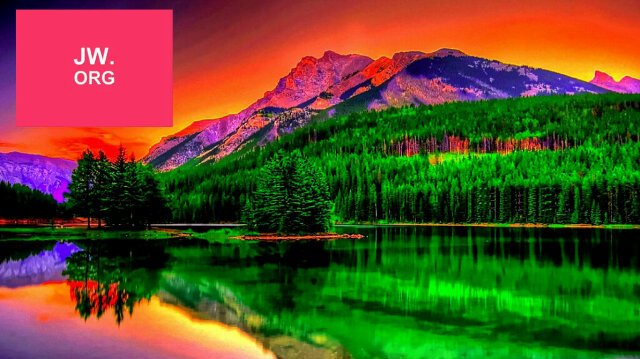 Chante_H's profile banner image