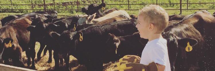 JordanBooth7's profile banner image