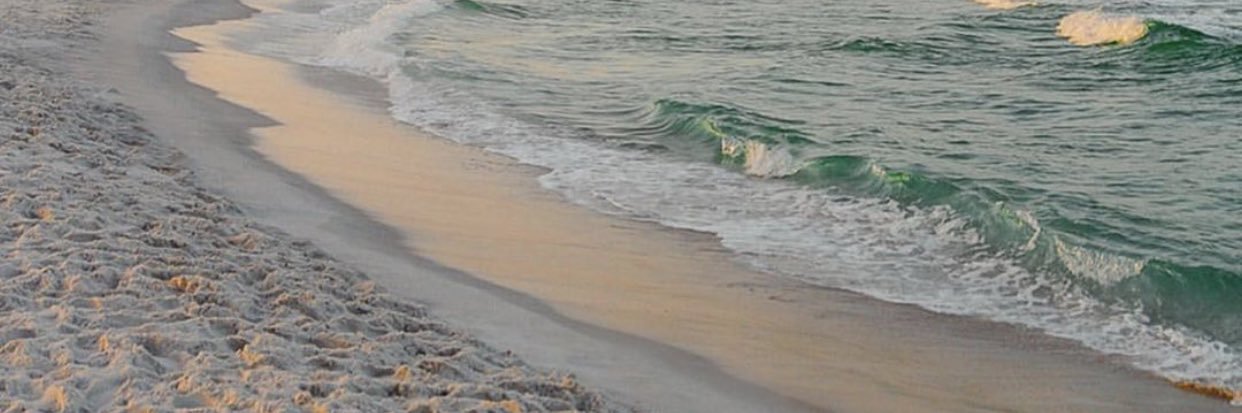 ccamicrs's profile banner image